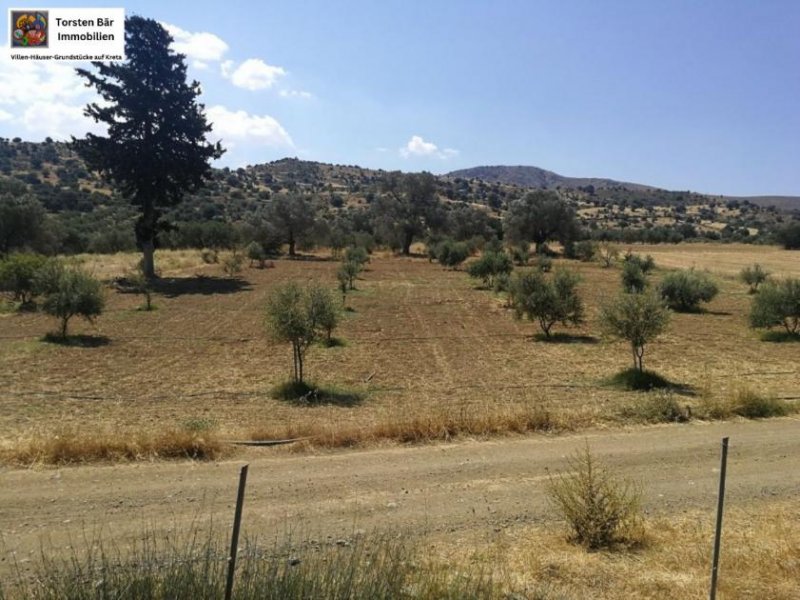 Sivas Kreta, Sivas: Baugrundstück 800 m² mit Baugenehmigung Grundstück kaufen